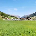 Stella Alpina Stella Alpina *