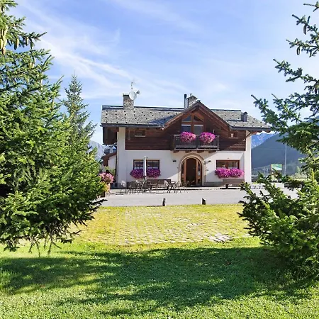 Stella Alpina Stella Alpina *